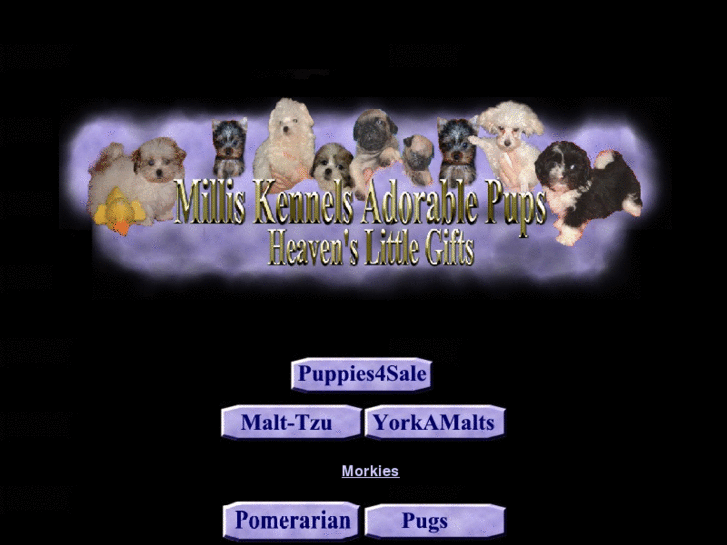 www.milliskennelsadorablepups.com