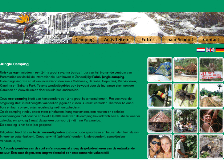 www.palulu-jungle-resort.com