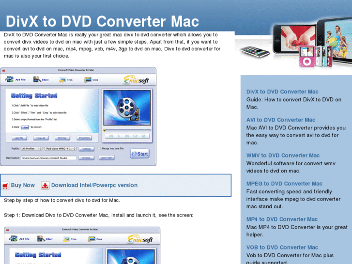www.divxtodvdconvertermac.net