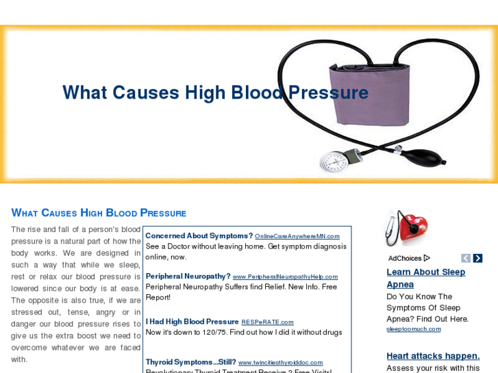 www.whatcauseshighbloodpressure.com