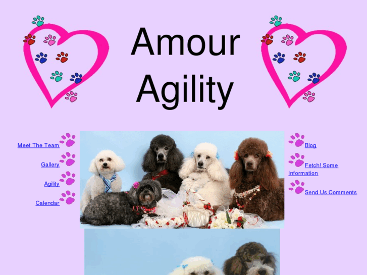 www.amouragility.com