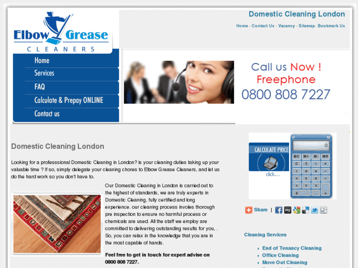 www.domesticcleaning-london.co.uk