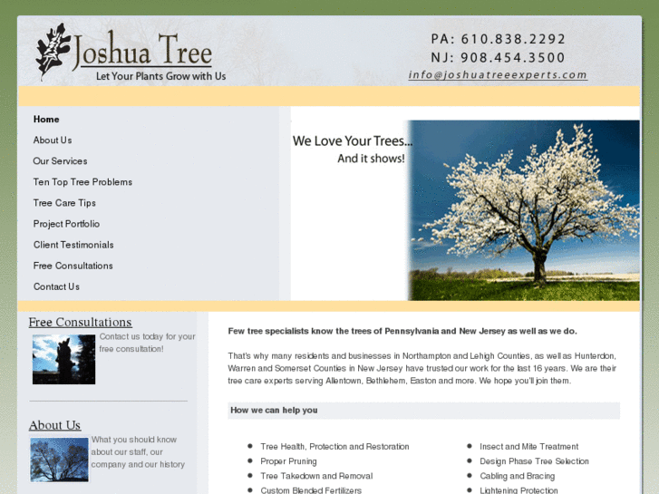 www.joshuatreeexperts.com