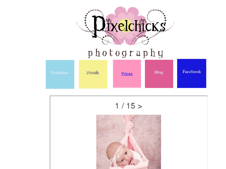 www.pixelchicks-photography.com