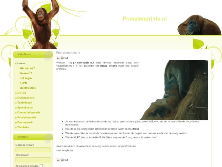 www.primatenprints.nl