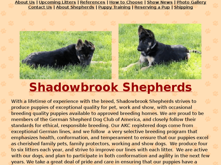 www.shadowbrookshepherds.com