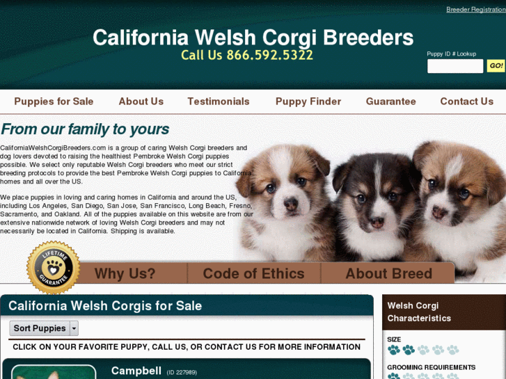 www.californiawelshcorgibreeders.com