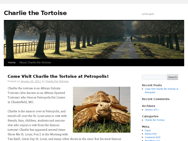 www.charliethetortoise.com