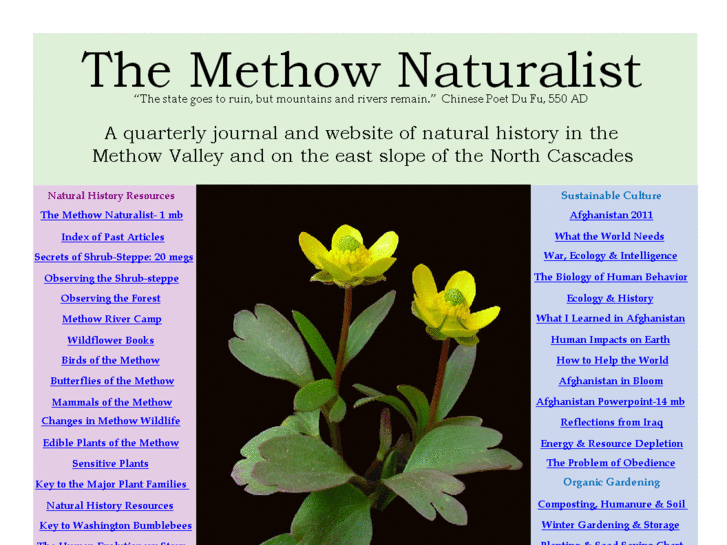 www.methownaturalist.com