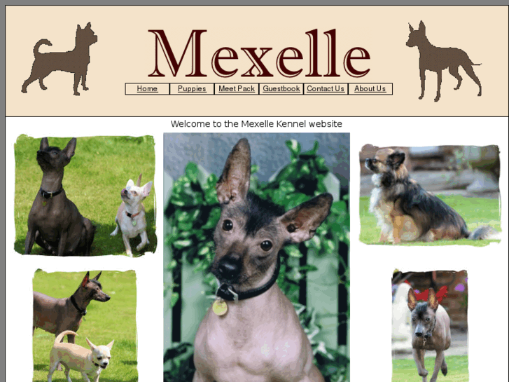 www.mexelle.co.uk