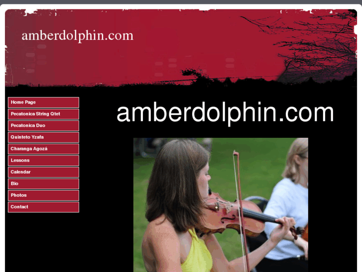 www.amberdolphin.com