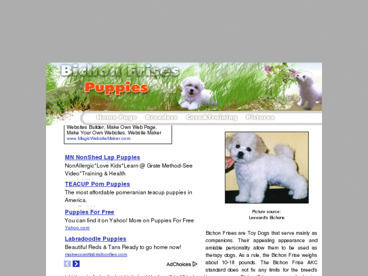 www.bichon-frises-puppies.com