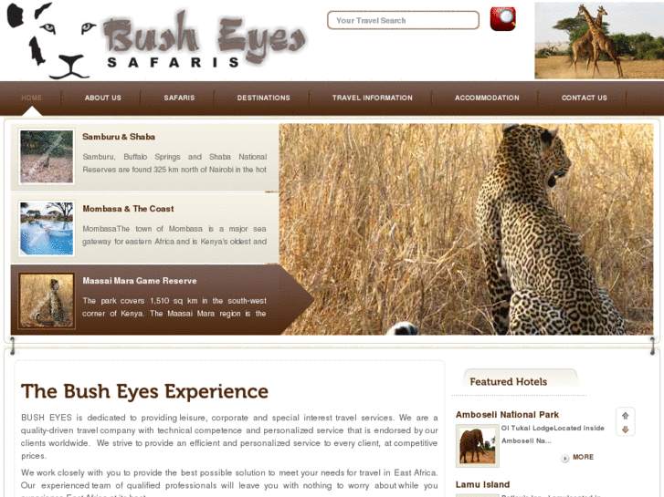 www.busheyes.com