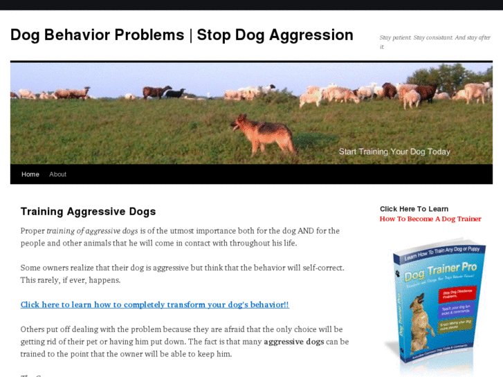 www.fixingdogbehaviorproblems.com