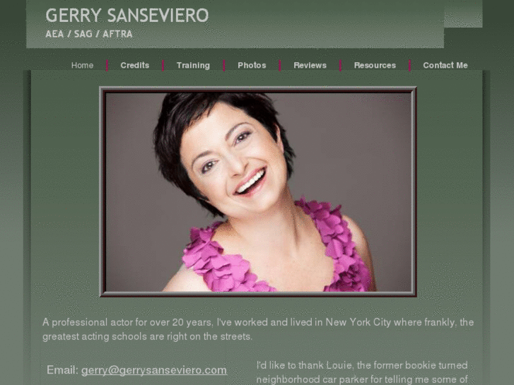 www.gerrysanseviero.com