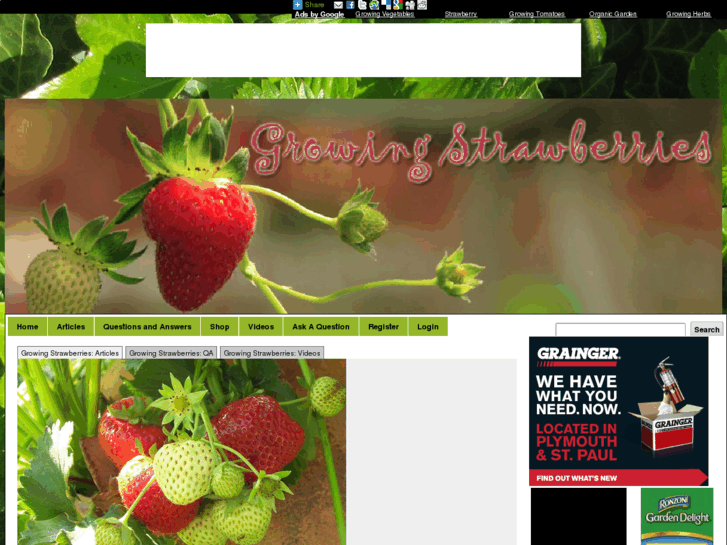 www.growing-strawberries.com