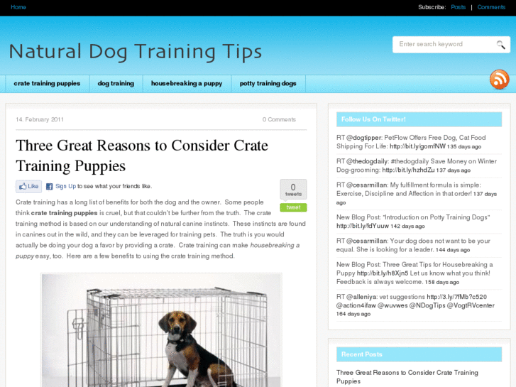 www.naturaldogtrainingtips.com