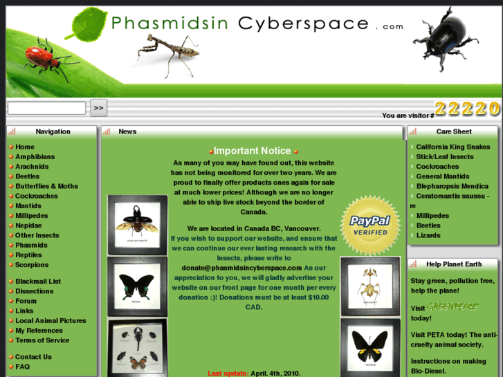 www.phasmidsincyberspace.com