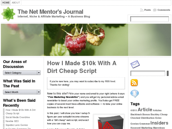 www.thenetmentorsjournal.com