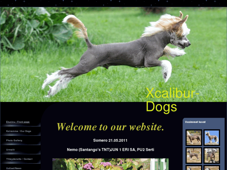 www.xcalibur-dogs.com