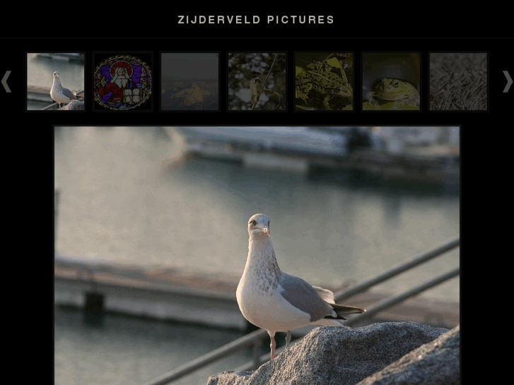 www.zijderveld.com