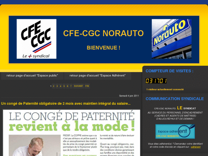 www.cfe-cgc-norauto.com