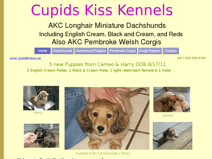 www.cupidskisskennels.com