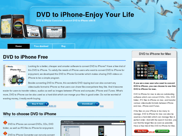 www.dvdtoiphonefree.com