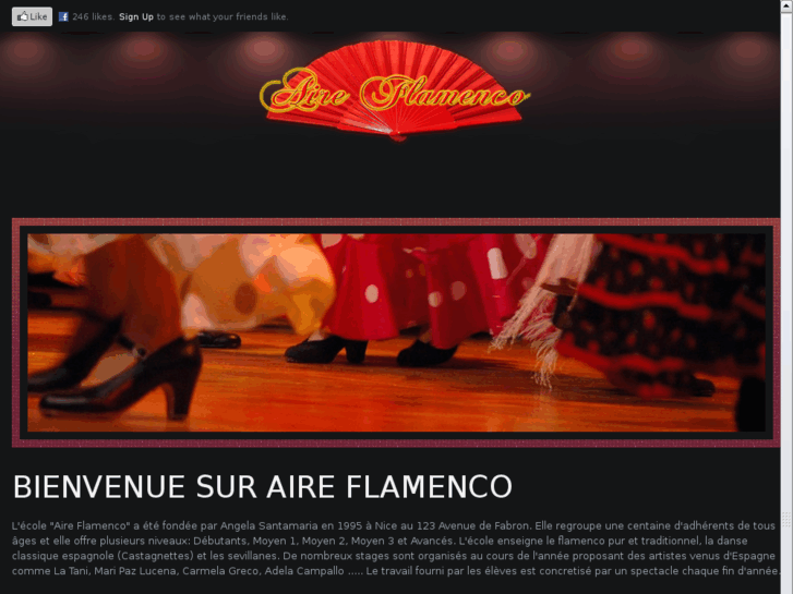 www.aireflamenco.org