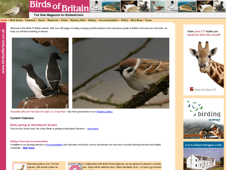 www.birdsofbritain.co.uk