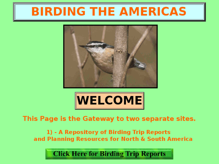 www.birdtripreports.com