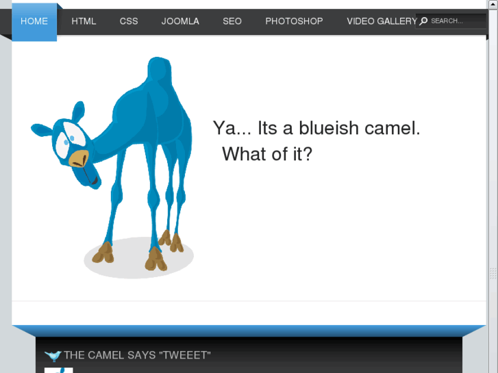 www.blueishcamel.com