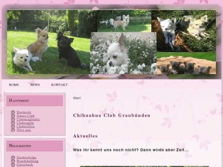 www.chihuahuaclub-graubuenden.com