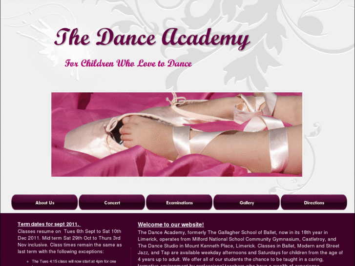 www.danceacademylimerick.com