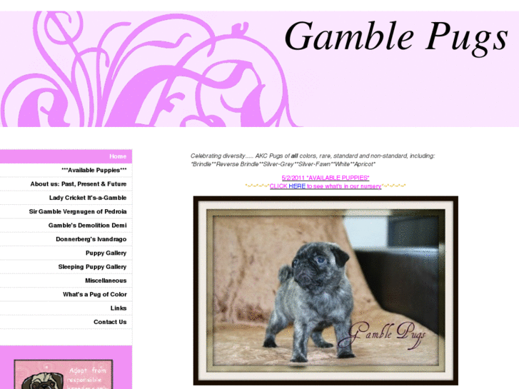 www.gamblepugs.com