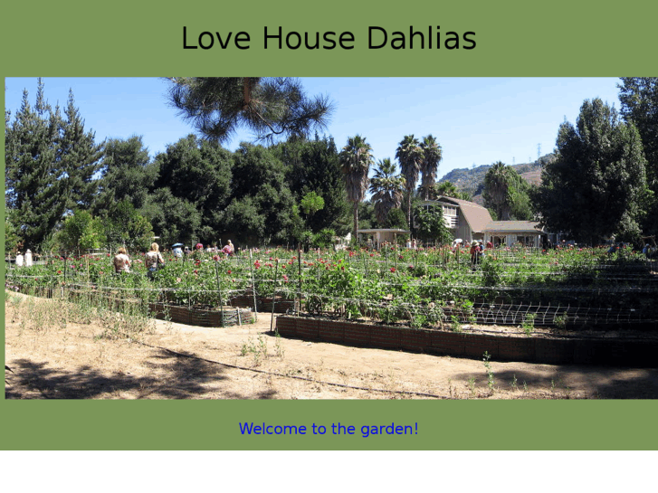 www.lovehousedahlias.com