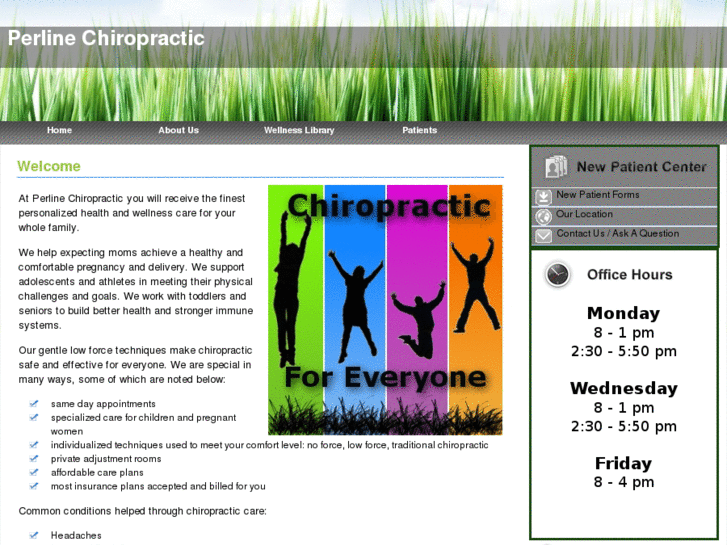 www.perlinechiropractic.com