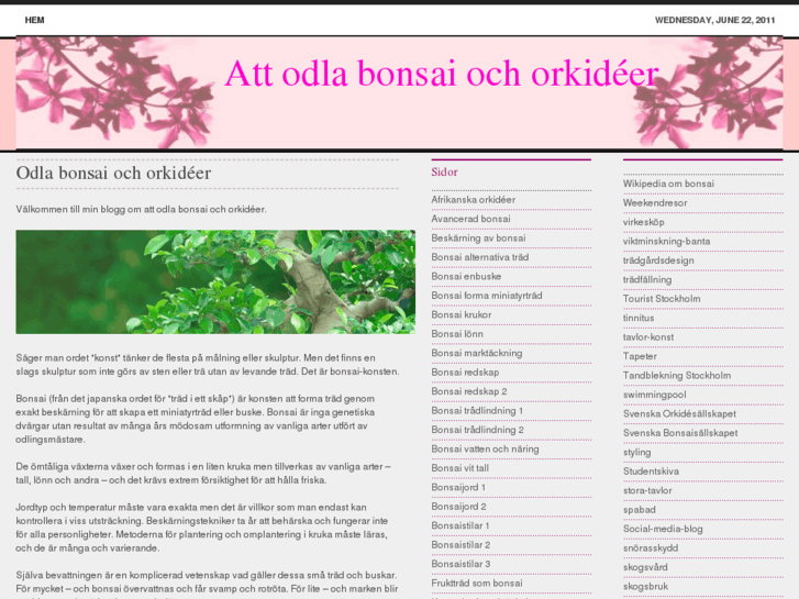 www.bonsaiorkideer.com