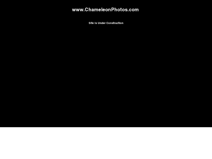 www.chameleonphotos.com