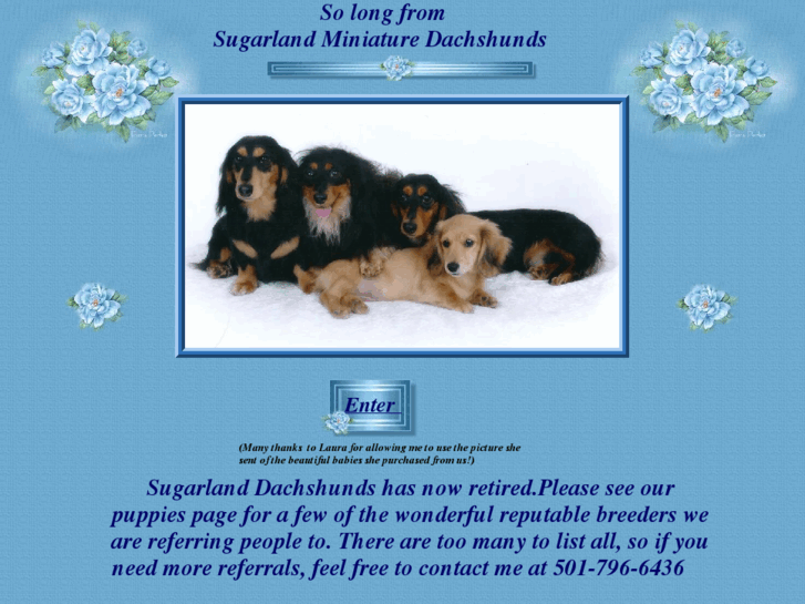 www.dachshunds4all.com