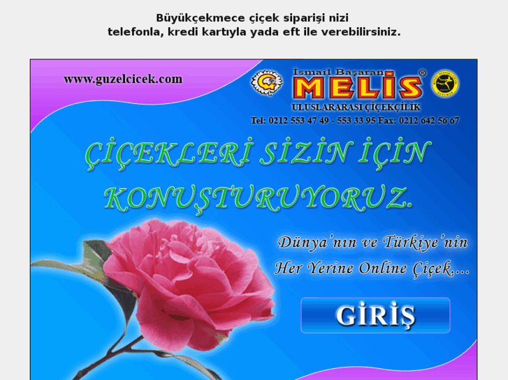 www.guzelcicek.com