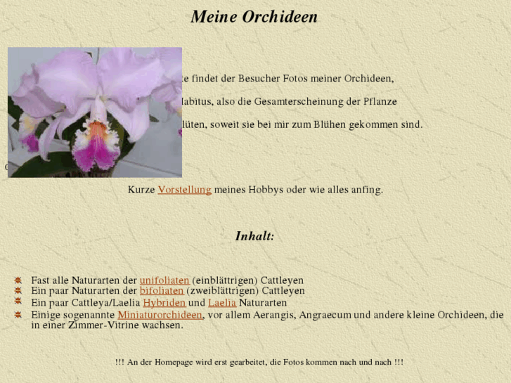 www.michelle-orchideen.com