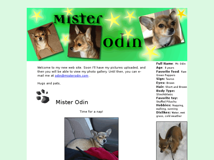 www.misterodin.com