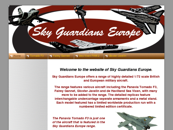 www.skyguardianseurope.com