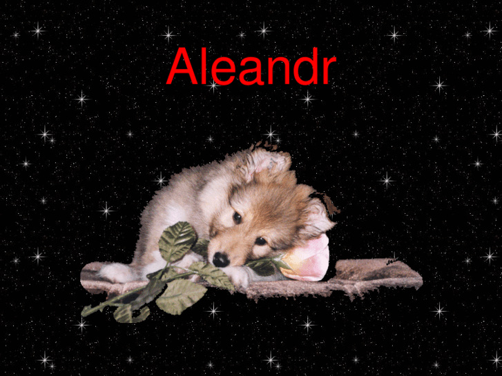 www.aleandr.com
