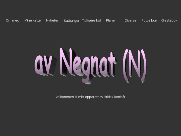 www.avnegnat.com