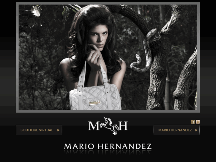 www.mariohernandez.com