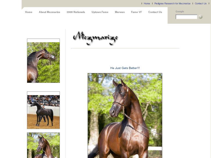 www.mezmarize.com