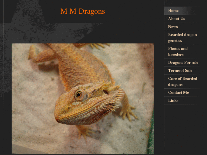 www.mmdragons.com