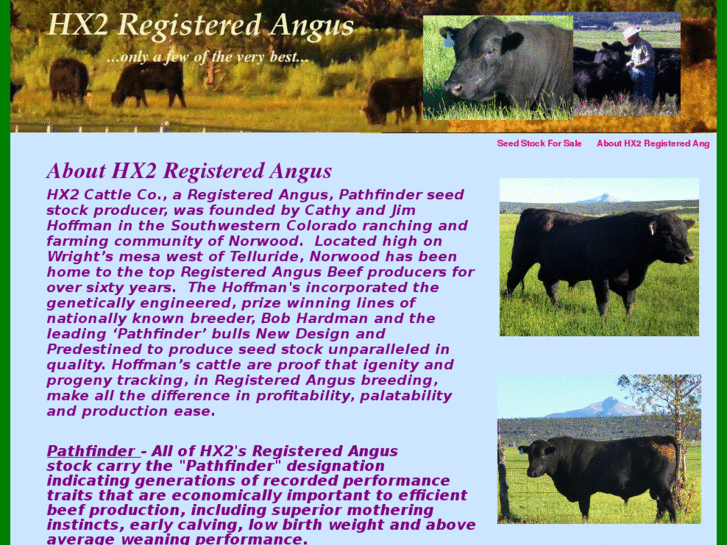 www.registeredangus.com